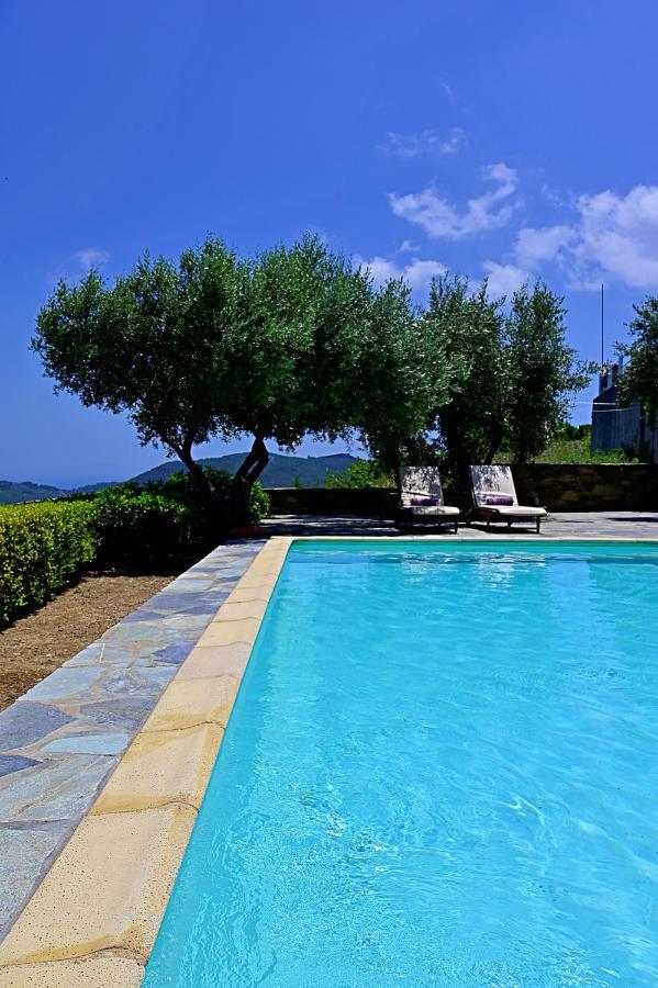 Erato Villa สโกเปลอสทาวน์ ภายนอก รูปภาพ